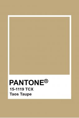 Плащевка с хлопком (Тренч) 8601.051.3