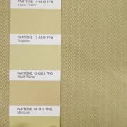 Джинсовое полотно v4.417.085