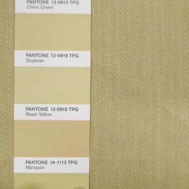 Джинсовое полотно v4.417.085