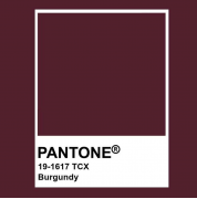 Бархат бургунди #burgundy
