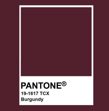 Бархат бургунди #burgundy