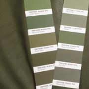 Экокожа (Италия) V4.650.060#khaki